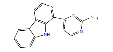 Ingenine B